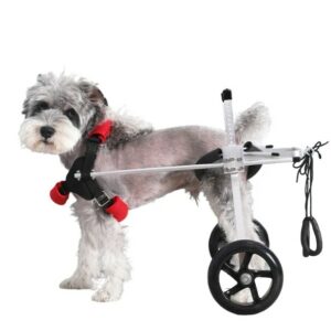  - Best Pet Products Suppliers in China - Pet Products B2B Marketplace