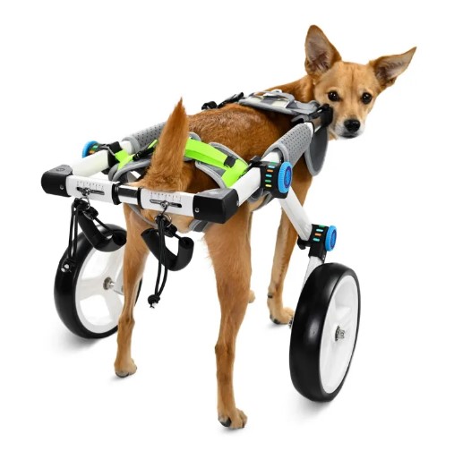  - Fordable Dog Wheelchairs For Dog Back Legs