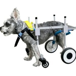  - Best Pet Products Suppliers in China - Pet Products B2B Marketplace