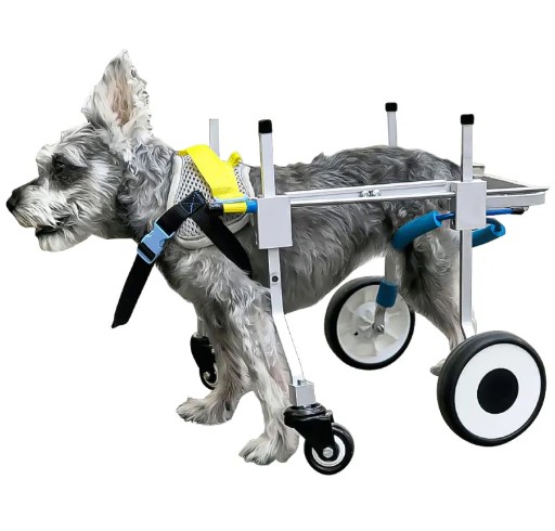  - Dog Wheelchairs for Dog Leg Paralyzed Weakness