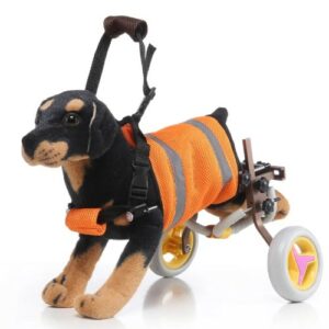  - Dog Wheelchairs For Dog Back Legs Disability