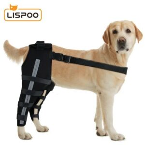  - Dog Acl Braces Fix Joint Damage Knee Braces for Dogs