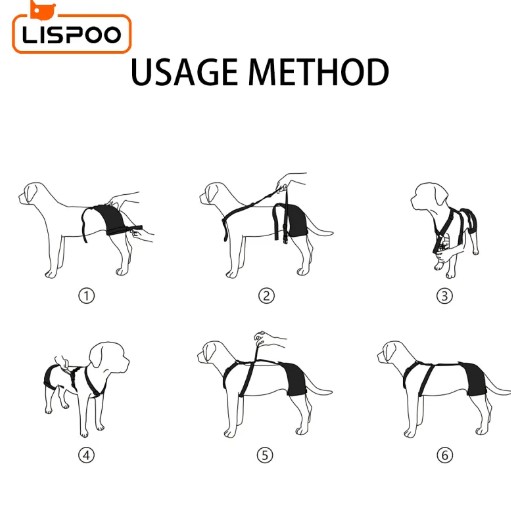  - LISPOO Dog Hip Brace for Hip Dysplasia