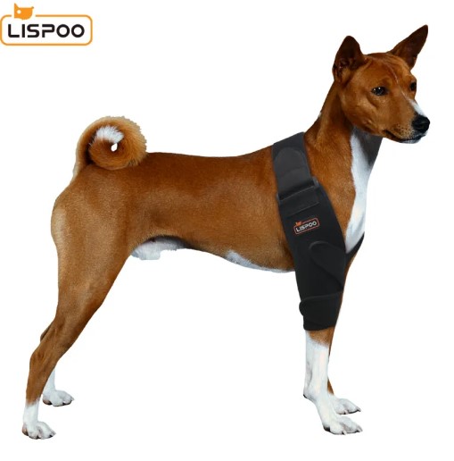  - Dog Elbow Support For Elbow Arthritis