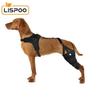  - LISPOO Dog Knee ACL Brace With Metal Splint Hinged Flexible Support