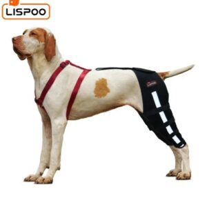 - Lispoo Dog Leg Braces For Torn Acl