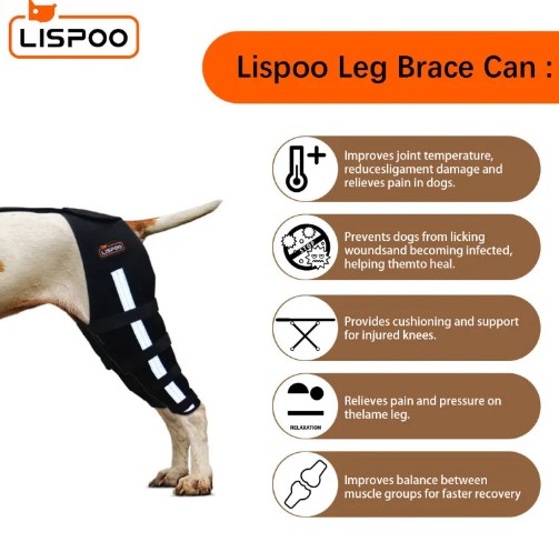  - Lispoo Dog Leg Braces For Torn Acl
