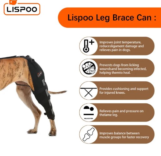  - Lispoo Dog Leg Brace for Acl Injury