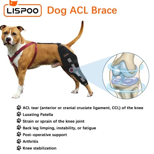  - Lispoo Dog Leg Brace for Acl Injury