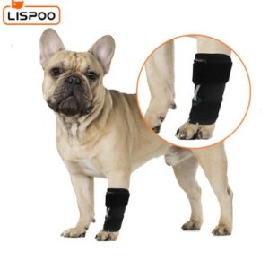  - LISPOO Dog Front Leg No Knuckling Training Sock