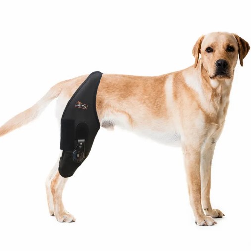  - LISPOO Dog Knee Brace With Adjustable Hinge Stabilizer