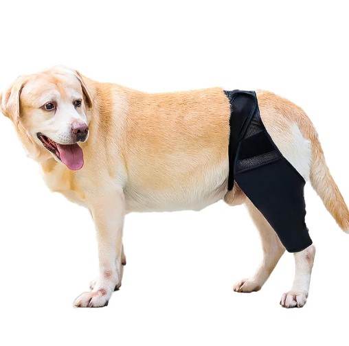  - DOGLEMI Dog Rear Leg Brace for Fix Patella Dislocation