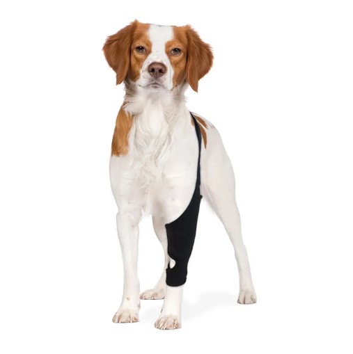  - DOGLEMI Dog Rear Leg Brace for Fix Patella Dislocation